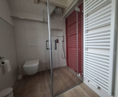 Ansicht der Dusche, der Toilette im großen Badezimmer und des Heizkörpers ohne Beleuchtung