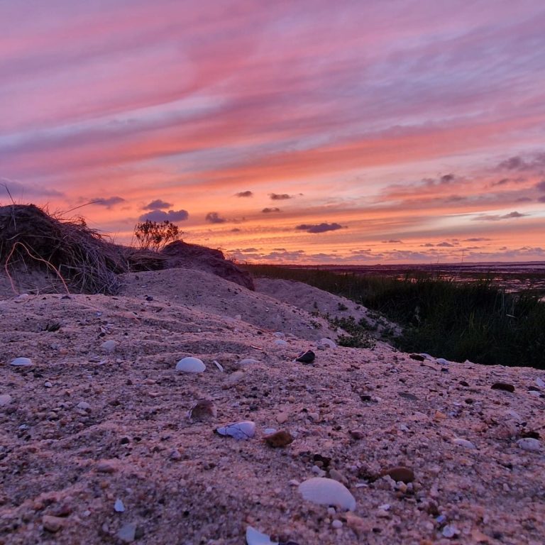 Bild mit Blick über die Dünenlandschaft Amrums in der Abenddämmerung