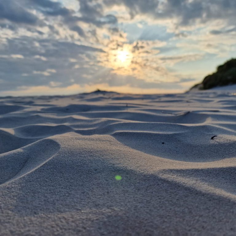 Der weiße Sandstrand Amrums