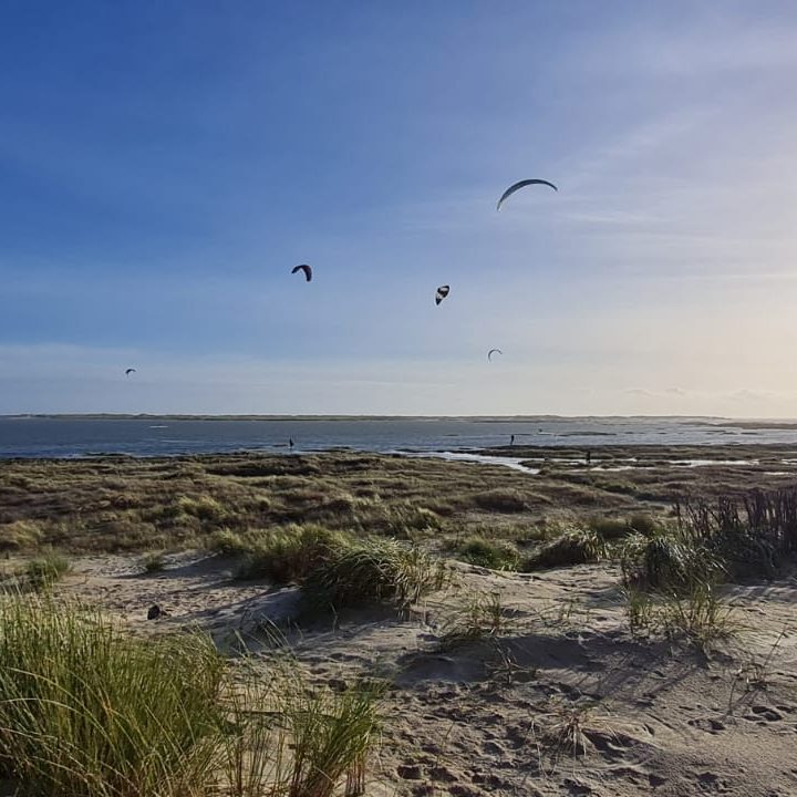 Bild von Wassersportlern vor Amrum
