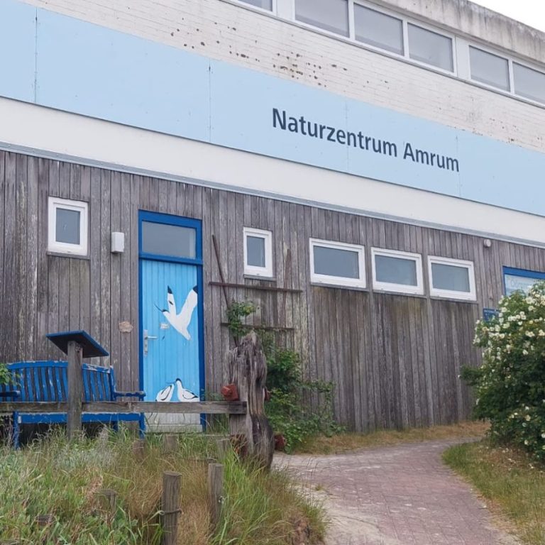 Bild des Naturzentrums Amrums in Norddorf