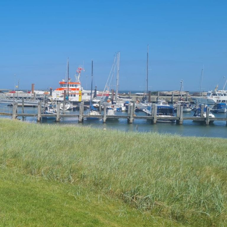 Bild des Yachthafens Amrums