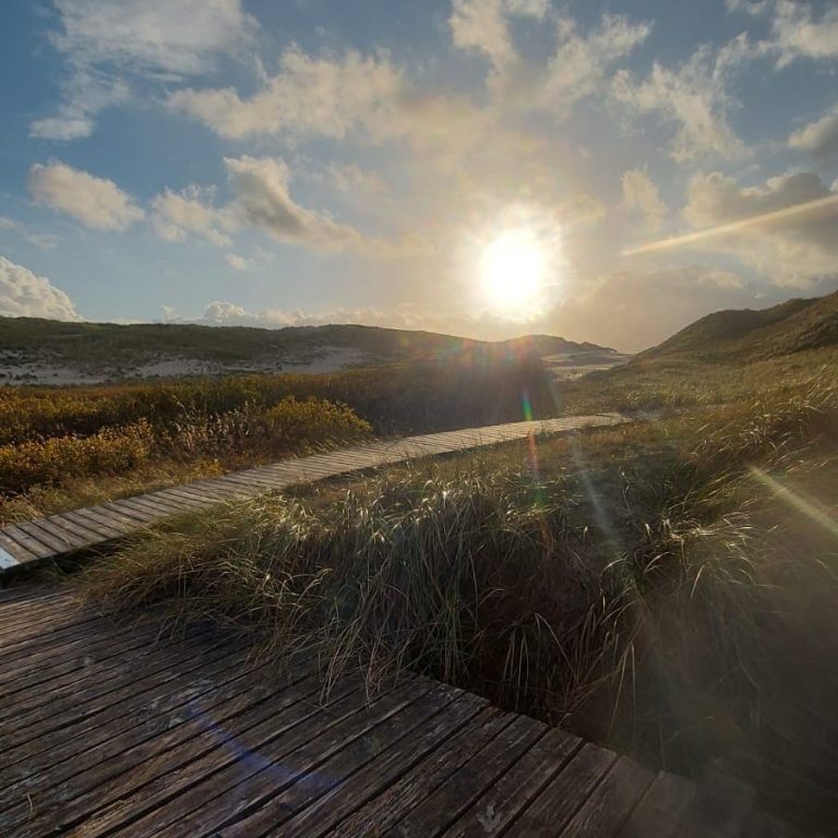 Blick über die Bohlenwege Amrums bei Sonnenschein